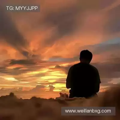 万桢翼